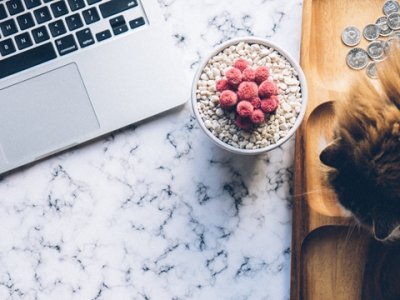 外贸公司建瓷砖外贸网站，拓展出口业务