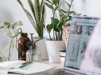 2025年美国信用卡申请：手机号与地址获取全攻略