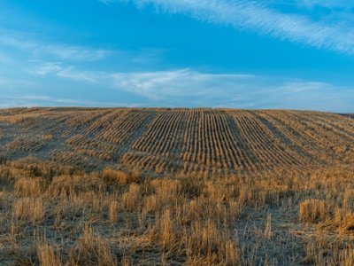 津巴布韦First Capital Bank开户指南：美元与津元账户要求及流程