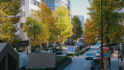 新加坡注册公司需要什么条件?真实流程和门槛一次说清 新加坡注册公司需要什么条件?真实流程和门槛一次说清